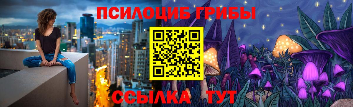 Москва  купить наркотик  Псилоцибиновые грибы GOLDEN TEACHER  Вход с VPN  Псилоцибиновые грибы Psilocybine cubensis 
